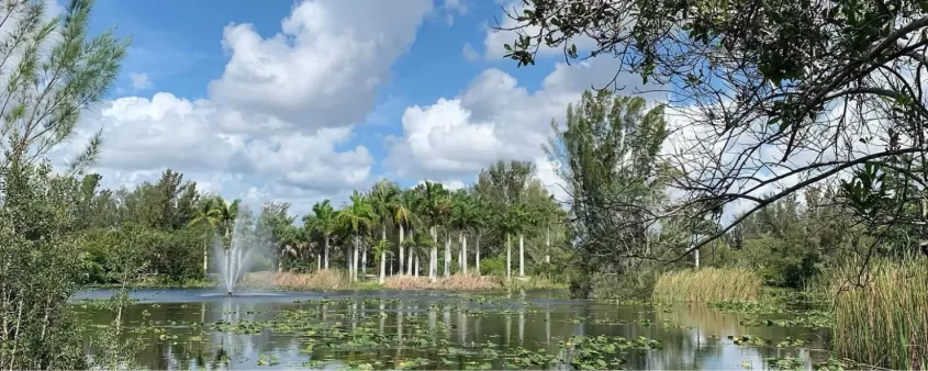 Picture-perfect photo opportunities await in the Fort Myers area's parks and preserves